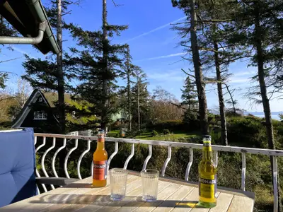 Ferienwohnung für 3 Personen (43 m²) in Wyk auf Föhr 1/10