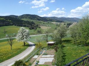 Blick vom Balkon im Frühling, Yspertal