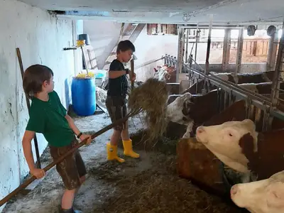 Stall 24 Kinder Schuster