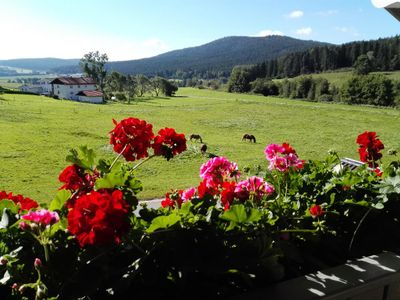 Blick vom Balkon