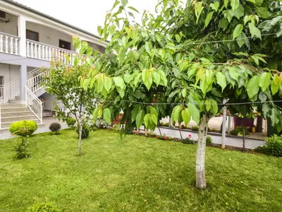 Ferienwohnung für 4 Personen (50 m²) in Jadera 3/10