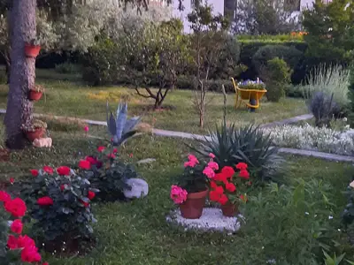 Ferienwohnung für 5 Personen (80 m²) in Zadar 9/10