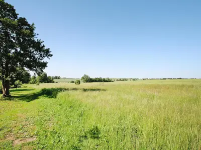 AreaSummer1KM