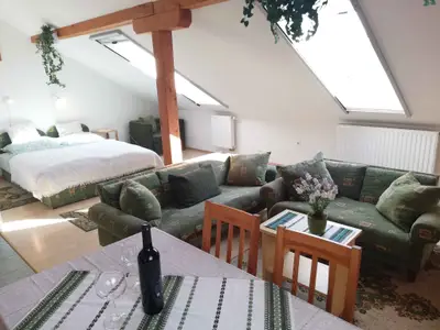 Ferienwohnung für 3 Personen (50 m²) in Zalakaros 2/10