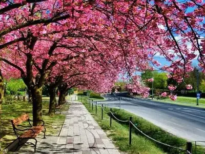 Ferienwohnung für 3 Personen (45 m²) in Zalakaros 4/10