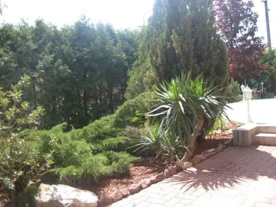 Bild 8
