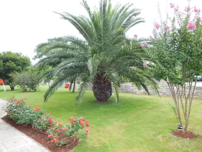 Ferienwohnung für 4 Personen (36 m²) in Zambratija 3/10