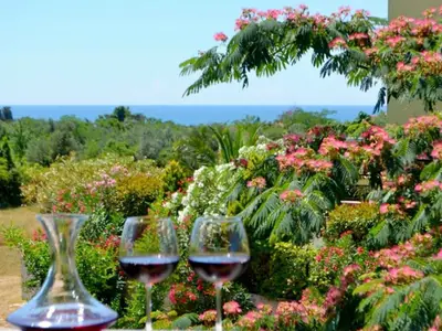 Ferienwohnung für 4 Personen (37 m²) in Zambratija 2/10