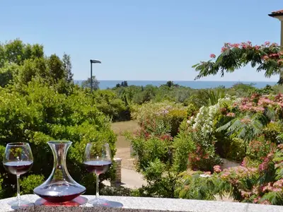 Ferienwohnung für 4 Personen (37 m²) in Zambratija 7/10