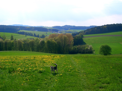 Zandt Umgebung