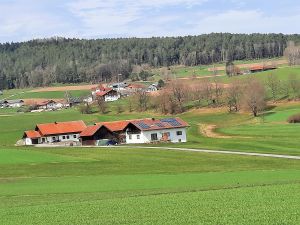 22141917-Ferienwohnung-6-Zandt-300x225-4