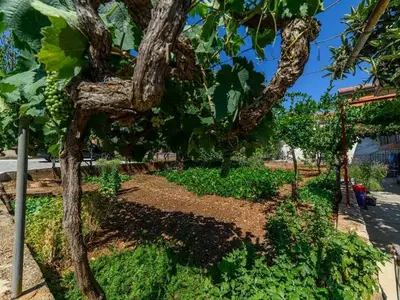 Ferienwohnung für 6 Personen in Zaton (Šibenik) 9/10