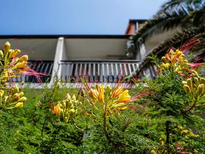 Ferienwohnung für 5 Personen (75 m²) in Ždrelac 4/10