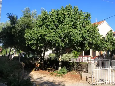 Ferienwohnung für 4 Personen in Ždrelac 6/10