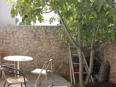 Ferienwohnung für 3 Personen in Ždrelac 5/10