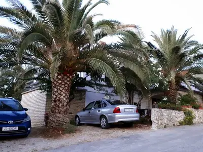 Ferienwohnung für 3 Personen in Ždrelac 8/10