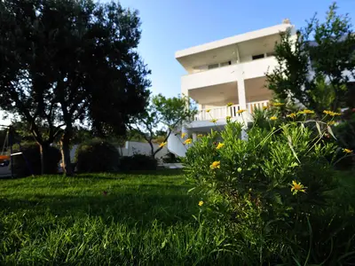 Ferienwohnung für 5 Personen (70 m²) in Zečevo Rogozničko 4/10