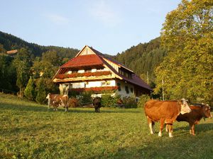 Ferienwohnung für 2 Personen in Zell am Harmersbach