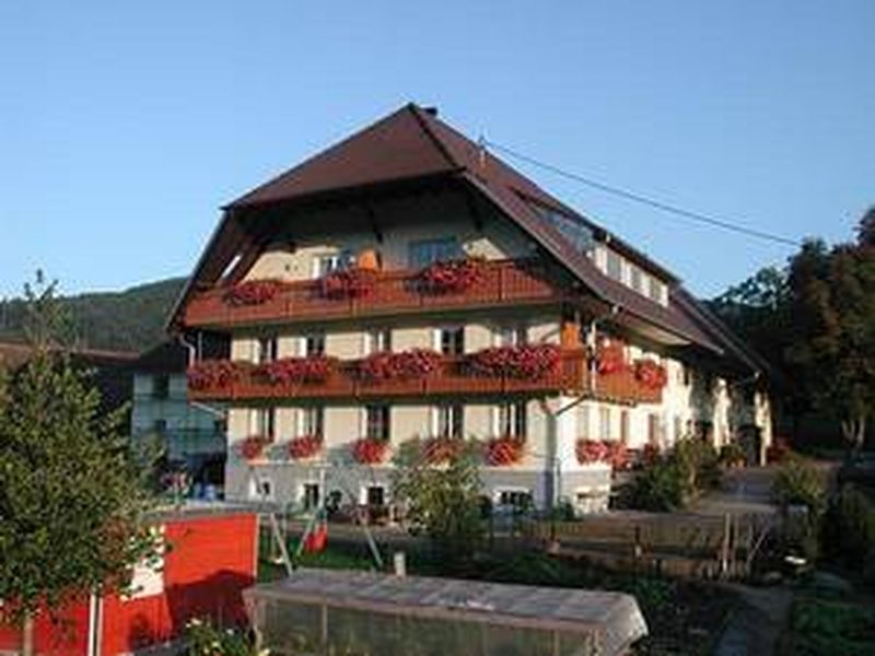 22235269-Ferienwohnung-4-Zell am Harmersbach-800x600-0