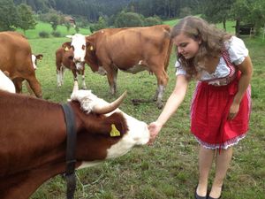 Ferienwohnung für 5 Personen in Zell am Harmersbach