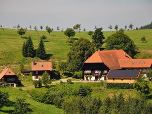 Ferienwohnung für 4 Personen (48 m&sup2;) in Zell am Harmersbach