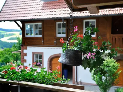 Ferienwohnung für 5 Personen (75 m²) in Zell am Harmersbach 1/10