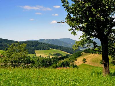 Ferienwohnung für 5 Personen (75 m²) in Zell am Harmersbach 8/10