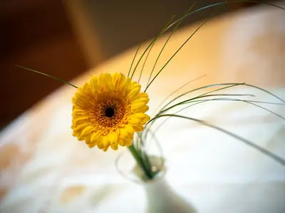 Ferienwohnung für 5 Personen (75 m²) in Zell am Harmersbach 7/10