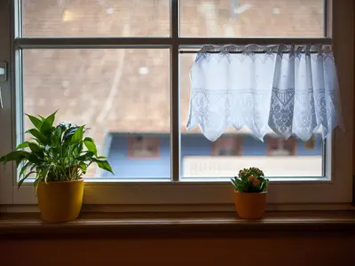 Ferienwohnung für 5 Personen (75 m²) in Zell am Harmersbach 10/10