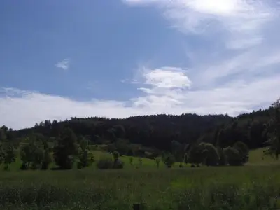 Ferienwohnung für 5 Personen (80 m²) in Zell am Harmersbach 5/7