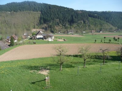 Ferienwohnung für 4 Personen (60 m²) in Zell am Harmersbach 2/10