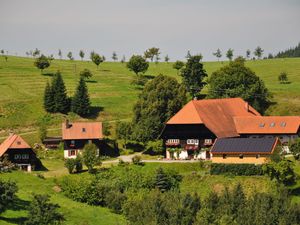 Ferienwohnung für 4 Personen (48 m²) in Zell am Harmersbach