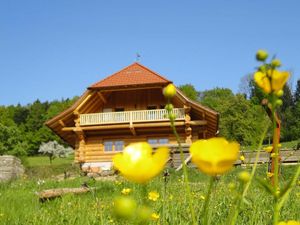 Ferienwohnung für 4 Personen in Zell am Harmersbach