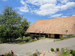 22069217-Ferienwohnung-6-Zell am Harmersbach-300x225-4