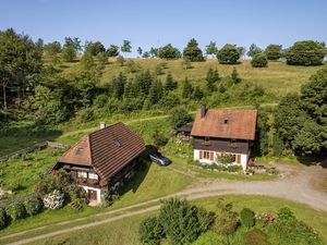 22203839-Ferienwohnung-4-Zell am Harmersbach-300x225-5