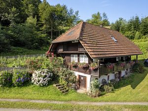 22203839-Ferienwohnung-4-Zell am Harmersbach-300x225-2