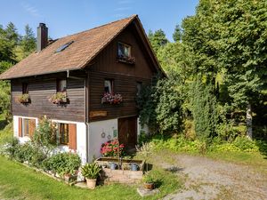 22203839-Ferienwohnung-4-Zell am Harmersbach-300x225-4