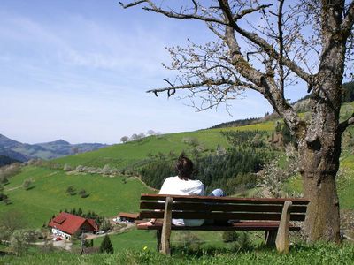 Blick auf´s Haus ins Tal