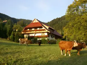 Ferienwohnung für 3 Personen (22 m²) in Zell am Harmersbach
