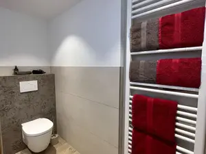 Ferienwohnung für 4 Personen (60 m²) in Zell am Harmersbach