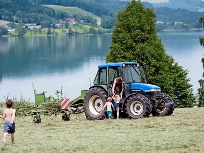 Ferienwohnung für 4 Personen (100 m²) in Zell am Moos 9/10
