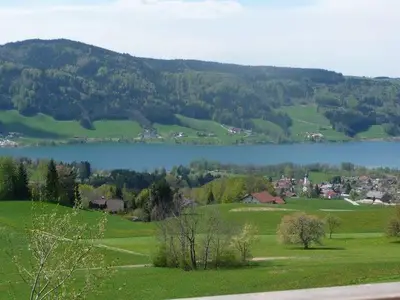 Ferienwohnung für 5 Personen (60 m²) in Zell am Moos 1/10