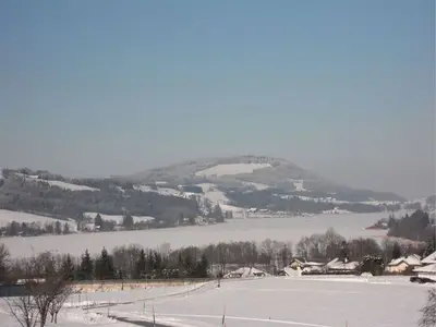 Ferienwohnung für 5 Personen (70 m²) in Zell am Moos 3/10