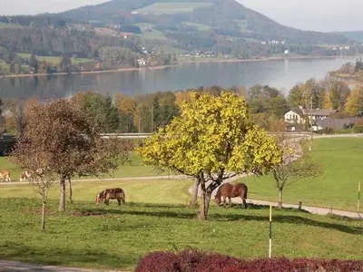 Ferienwohnung für 5 Personen (70 m²) in Zell am Moos 7/10