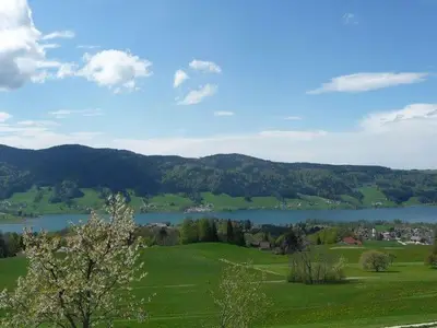 Ferienwohnung für 6 Personen (80 m²) in Zell am Moos 5/10