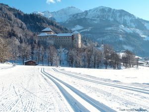 23845179-Ferienwohnung-3-Zell am See-300x225-4