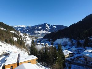 19310898-Ferienwohnung-8-Zell am See-300x225-5