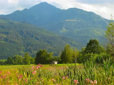 Landschaft
