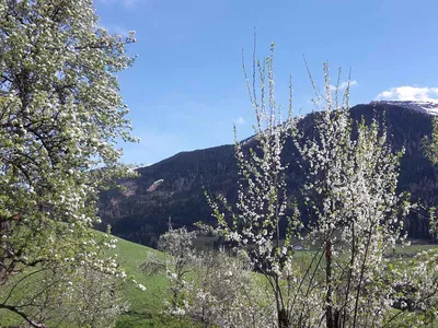 Ferienwohnung für 10 Personen (110 m²) in Zell am Ziller 5/10