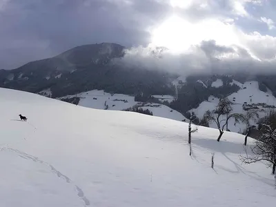 Ferienwohnung für 10 Personen (110 m²) in Zell am Ziller 8/10